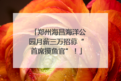 郑州海昌海洋公园月薪三万招募“首席摸鱼官”！