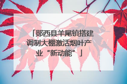 郧西县羊尾镇搭建调制大棚激活烟叶产业“新动能”
