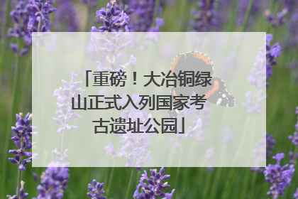 重磅！大冶铜绿山正式入列国家考古遗址公园