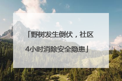 野树发生倒伏，社区4小时消除安全隐患