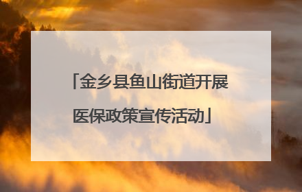 金乡县鱼山街道开展医保政策宣传活动