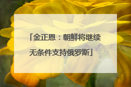 金正恩：朝鲜将继续无条件支持俄罗斯