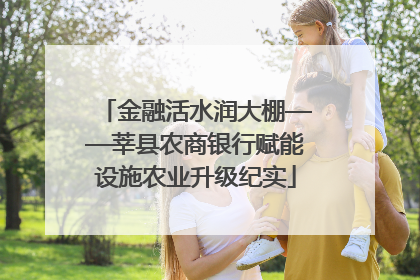 金融活水润大棚——莘县农商银行赋能设施农业升级纪实