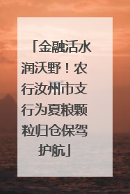 金融活水润沃野！农行汝州市支行为夏粮颗粒归仓保驾护航