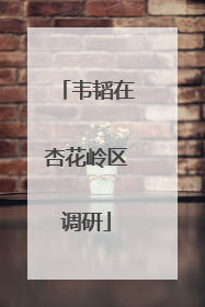 韦韬在杏花岭区调研
