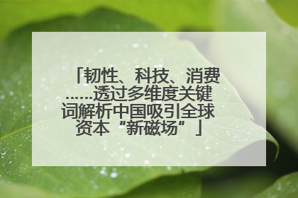 韧性、科技、消费……透过多维度关键词解析中国吸引全球资本“新磁场”