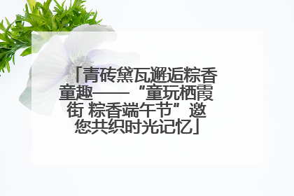 青砖黛瓦邂逅粽香童趣——“童玩栖霞街 粽香端午节”邀您共织时光记忆