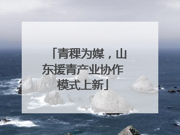 青稞为媒，山东援青产业协作模式上新