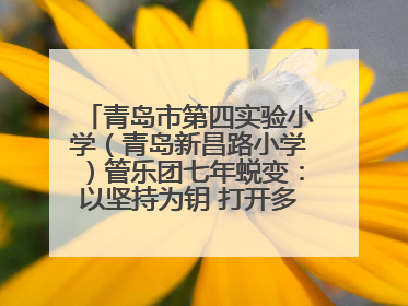 青岛市第四实验小学（青岛新昌路小学）管乐团七年蜕变：以坚持为钥 打开多元成长之门