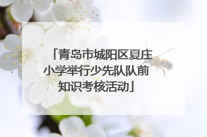 青岛市城阳区夏庄小学举行少先队队前知识考核活动
