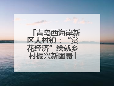 青岛西海岸新区大村镇：“赏花经济”绘就乡村振兴新图景