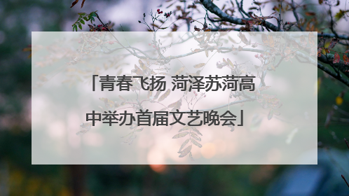 青春飞扬 菏泽苏菏高中举办首届文艺晚会