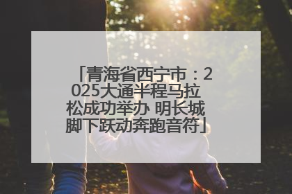 青海省西宁市：2025大通半程马拉松成功举办 明长城脚下跃动奔跑音符