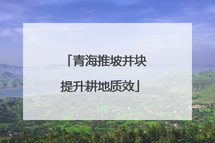 青海推坡并块提升耕地质效