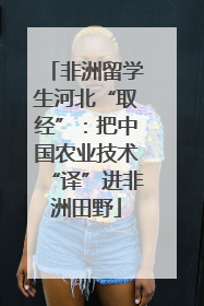非洲留学生河北“取经”：把中国农业技术“译”进非洲田野