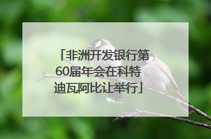 非洲开发银行第60届年会在科特迪瓦阿比让举行