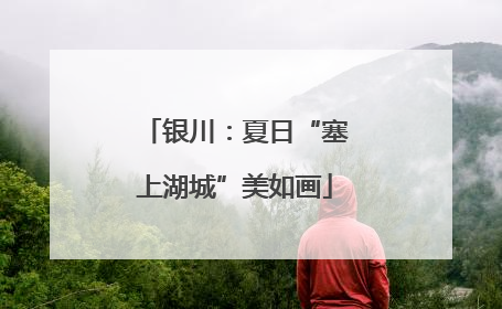 银川：夏日“塞上湖城”美如画