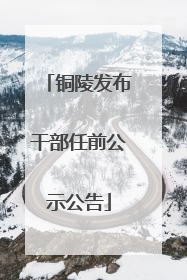 铜陵发布干部任前公示公告