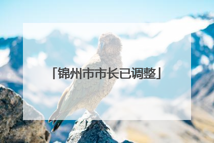 锦州市市长已调整