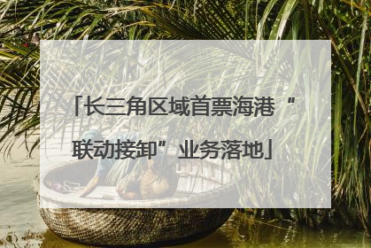 长三角区域首票海港“联动接卸”业务落地