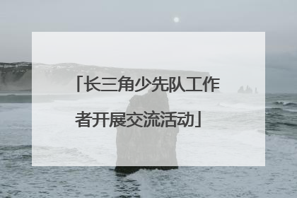 长三角少先队工作者开展交流活动