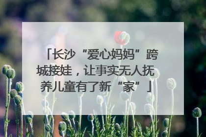 长沙“爱心妈妈”跨城接娃，让事实无人抚养儿童有了新“家”