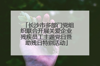 长沙市多部门党组织联合开展关爱企业残疾员工主题党日暨助残日特别活动