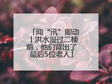 闻“汛”即动丨洪水漫过二楼前，他们背出了最后5位老人
