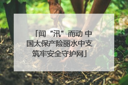 闻“汛”而动 中国太保产险丽水中支筑牢安全守护网