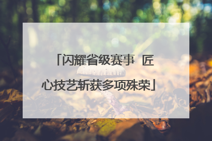 闪耀省级赛事  匠心技艺斩获多项殊荣