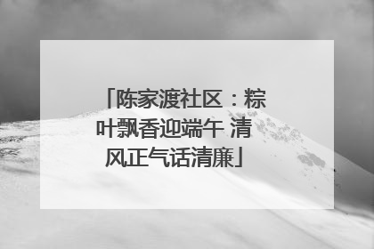 陈家渡社区：粽叶飘香迎端午 清风正气话清廉