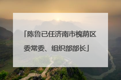 陈鲁已任济南市槐荫区委常委、组织部部长