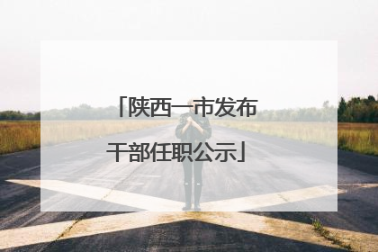 陕西一市发布干部任职公示