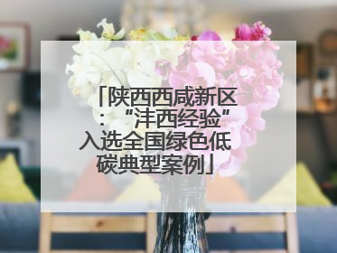 陕西西咸新区：“沣西经验”入选全国绿色低碳典型案例