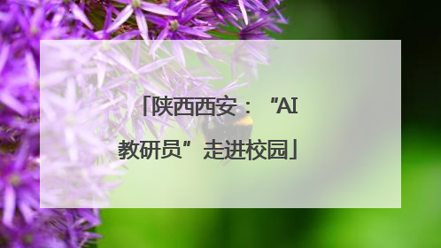 陕西西安：“AI教研员”走进校园