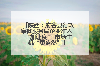 陕西：府谷县行政审批服务局企业准入“加速度” 市场生机“更盎然”