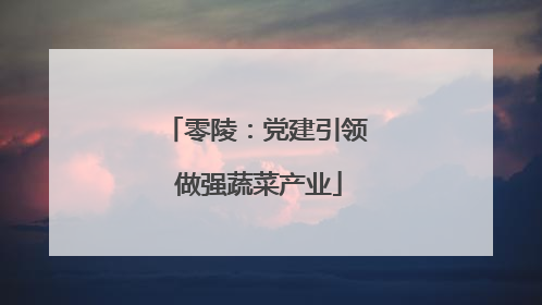 零陵：党建引领 做强蔬菜产业