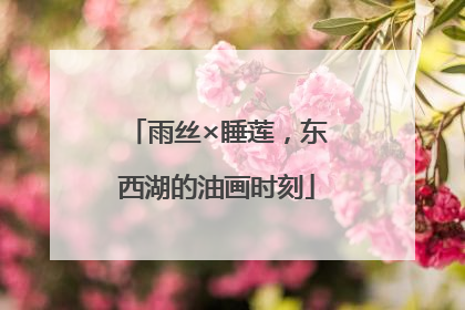 雨丝×睡莲，东西湖的油画时刻