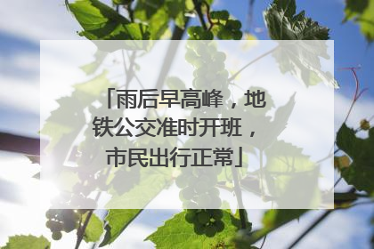 雨后早高峰，地铁公交准时开班，市民出行正常