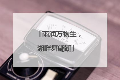 雨润万物生，湖畔舞翩跹