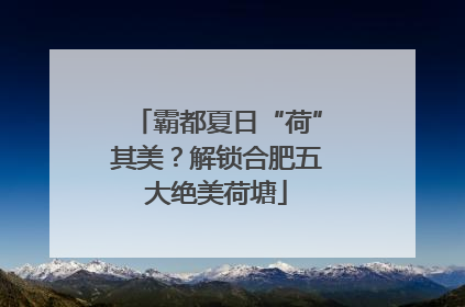 霸都夏日“荷”其美？解锁合肥五大绝美荷塘