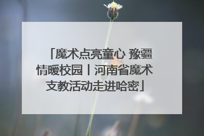 魔术点亮童心 豫疆情暖校园丨河南省魔术支教活动走进哈密