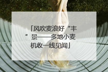 风吹麦浪好“丰”景——多地小麦机收一线见闻