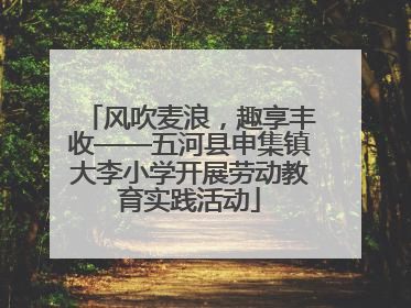 风吹麦浪，趣享丰收——五河县申集镇大李小学开展劳动教育实践活动