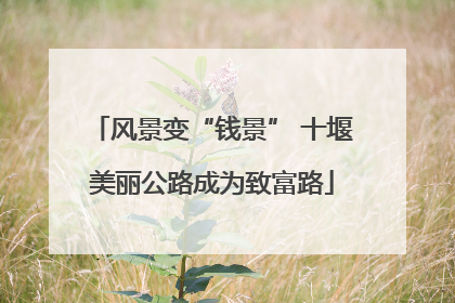 风景变“钱景” 十堰美丽公路成为致富路