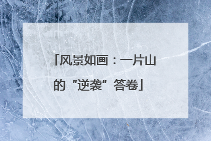 风景如画：一片山的“逆袭”答卷