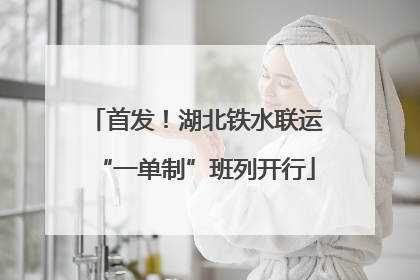 首发！湖北铁水联运“一单制”班列开行