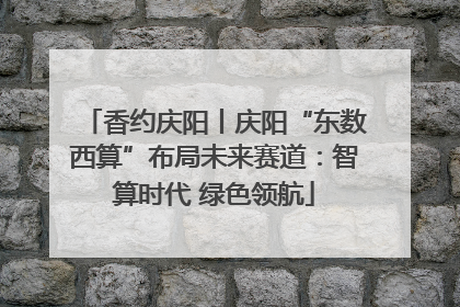 香约庆阳丨庆阳“东数西算”布局未来赛道：智算时代 绿色领航