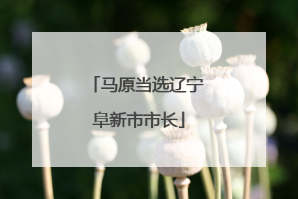马原当选辽宁阜新市市长