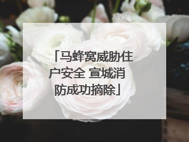 马蜂窝威胁住户安全 宣城消防成功摘除